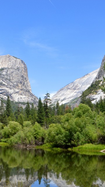 Image green trees near lake and mountain under blue sky during daytime