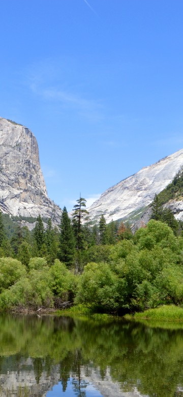 Image green trees near lake and mountain under blue sky during daytime