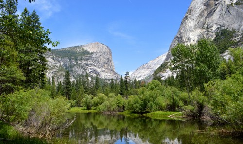 Image green trees near lake and mountain under blue sky during daytime