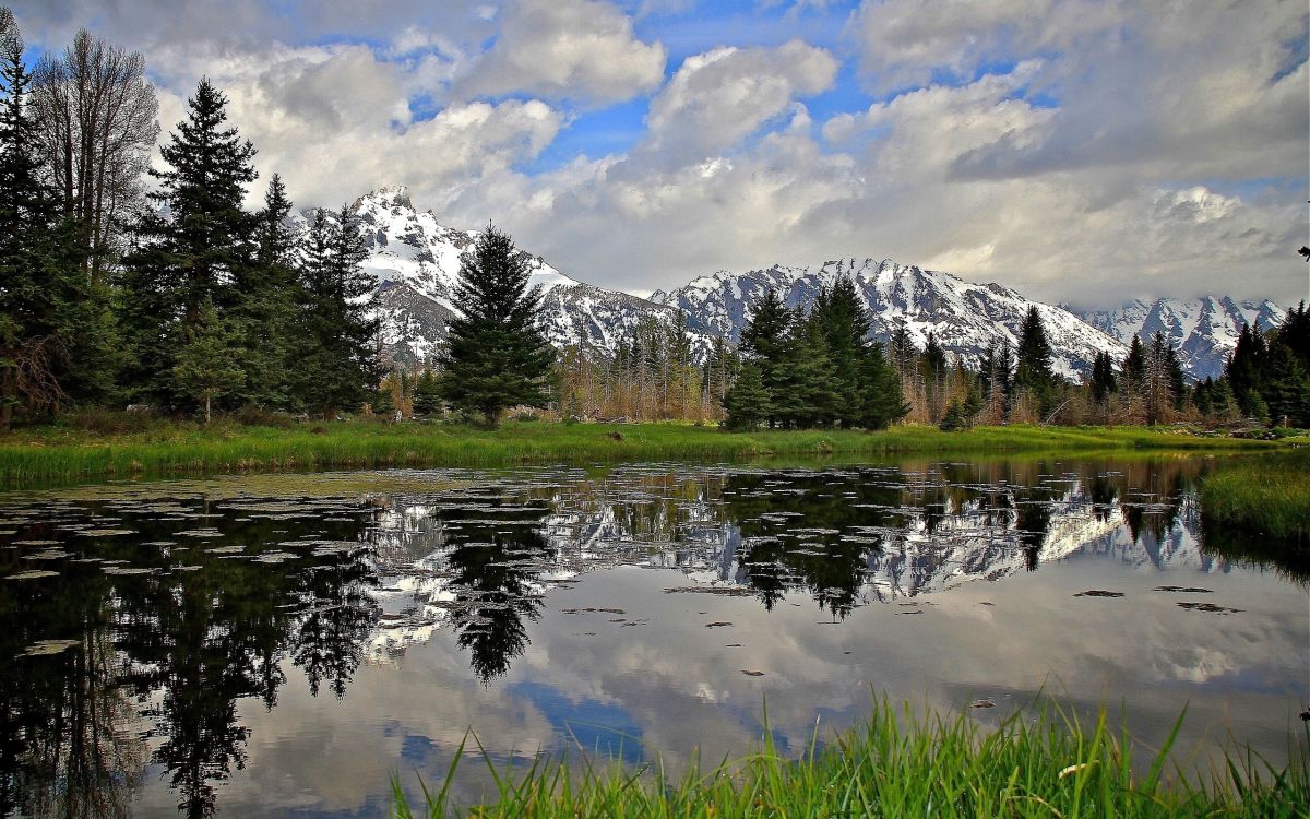 Grüne Wiese in Der Nähe Von See Und Bäumen Unter Weißen Wolken Und Blauem Himmel Tagsüber. Wallpaper in 2560x1600 Resolution