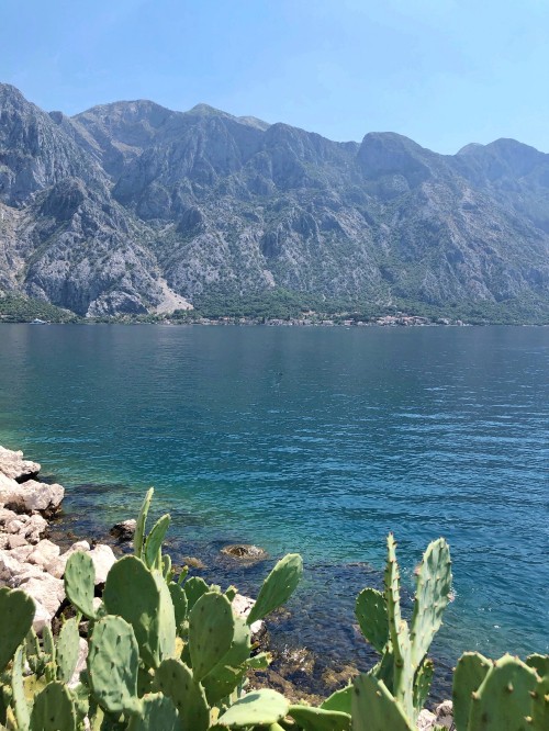 Image Montenegro, coast, mount scenery, water resources, fjord