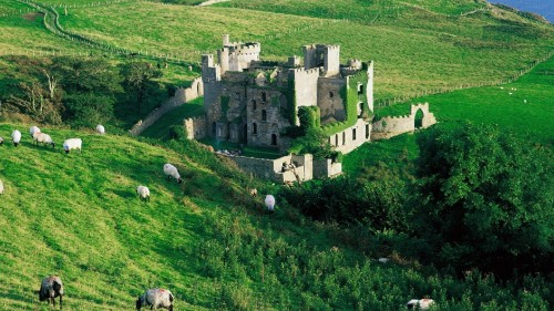 Image castle, highland, rural area, grass, pasture