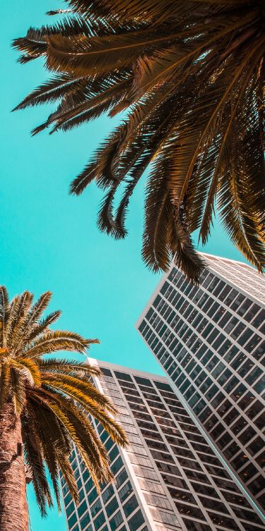 Design, Gebäude, Tageszeit, Licht, Botanik. Wallpaper in 1280x2560 Resolution