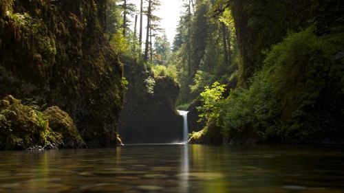 Image waterfalls in the middle of green trees during daytime