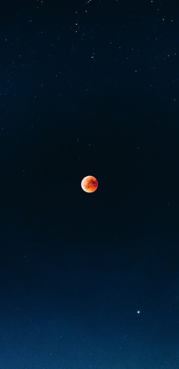Image blue sky with stars during night time