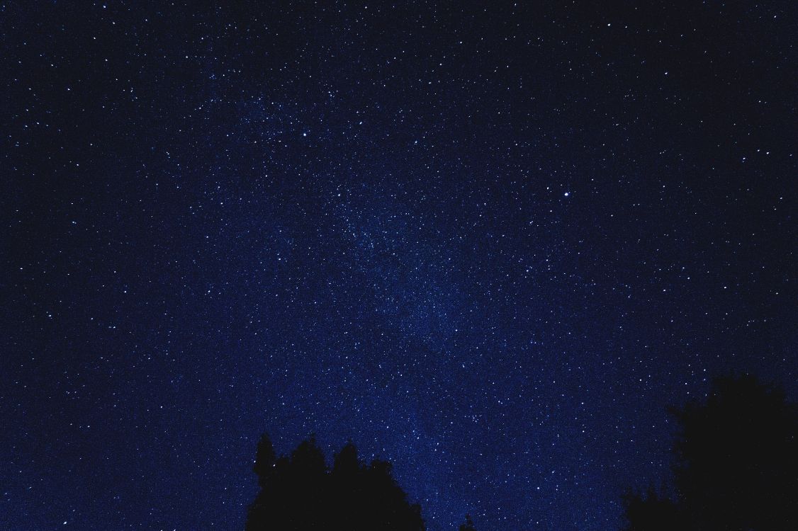 Silueta de Árboles Bajo la Noche Estrellada. Wallpaper in 5456x3632 Resolution