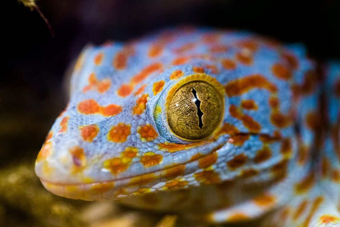 Textil de Rayas Marrón y Blanco. Wallpaper in 5760x3840 Resolution