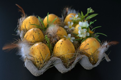 Image food, perennial plant, easter egg, fruit, egg