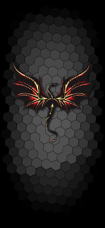 Aile, Graphisme, Les Arthropodes, Insecte, Art. Wallpaper in 1080x2340 Resolution