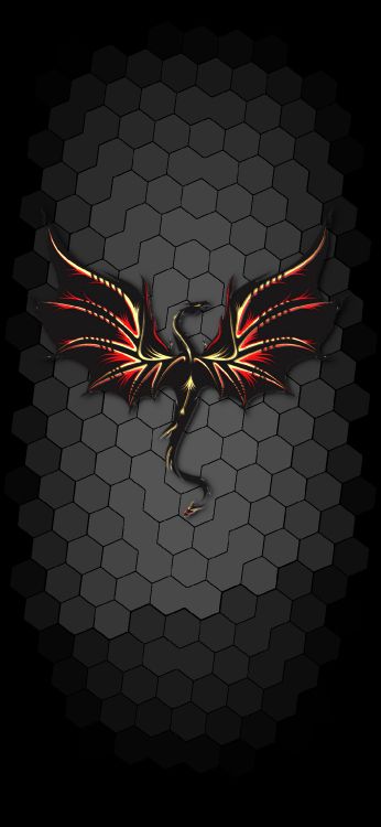 wing, graphic design, arthropod, insect, art