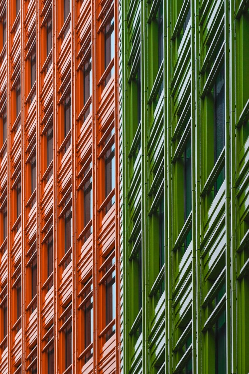 Image green and brown bamboo plants