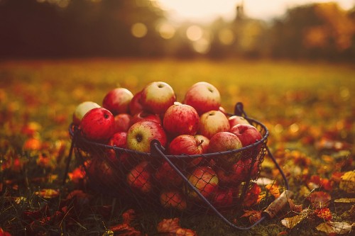 Image red apples in black basket