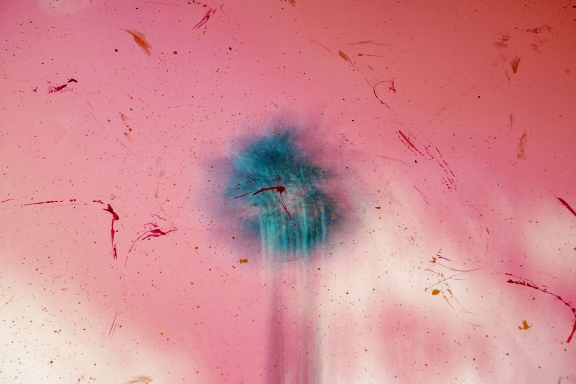 Rosa Und Weiße Blume im Wasser. Wallpaper in 3600x2400 Resolution