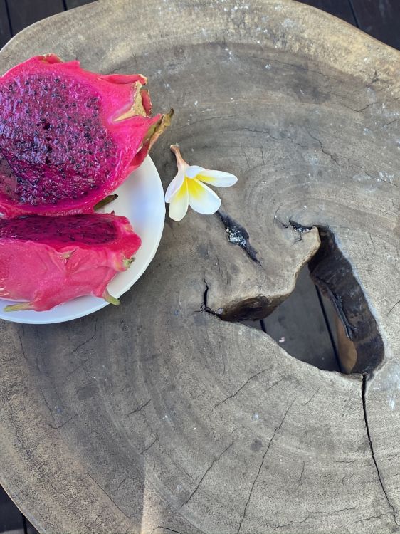 Material, Blütenblatt, Magenta, Blühende Pflanze, Beilage. Wallpaper in 1536x2048 Resolution