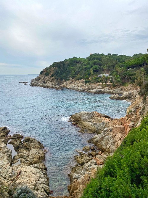 Image coast, body of water, vegetation, natural landscape, water