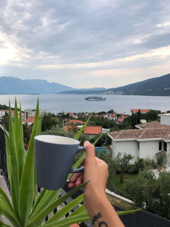 Eau, Palmier, Tourisme, Sciences, Biologie. Wallpaper in 3024x4032 Resolution