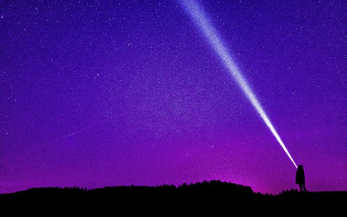 Image silhouette of trees under blue sky during night time