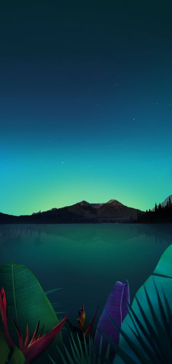 LG, Lgk50 Hintergrundbilder, Smartphone, Wasser, Atmosphäre. Wallpaper in 720x1520 Resolution