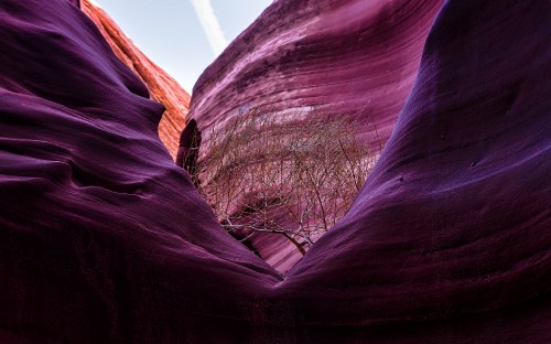 Image brown rock formation during daytime