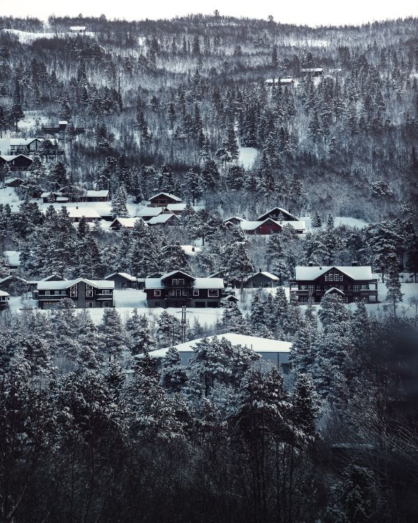 Houses Covered With Snow During Daytime. Wallpaper in 3795x4744 Resolution