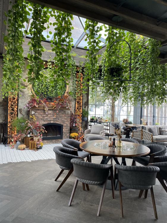 天井, 生物学, 家具, 沙发上, 阴凉处 壁纸 1536x2048 允许