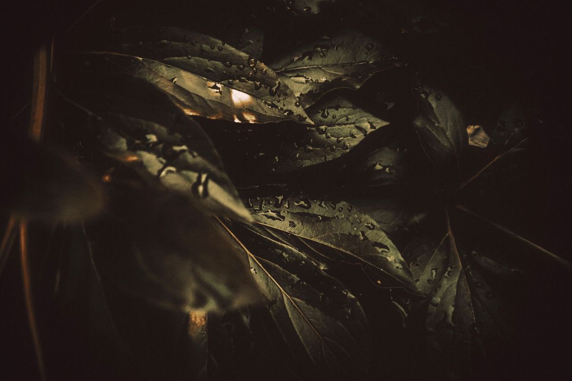 黑色的, 空间, 工厂, 湿气, 天空 壁纸 4608x3072 允许