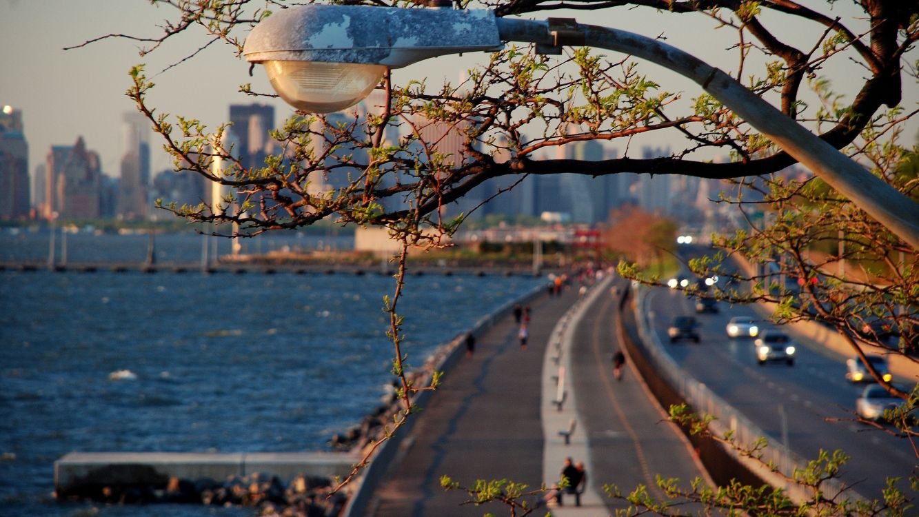 Plan D'eau Près Des Arbres Pendant la Journée. Wallpaper in 2560x1440 Resolution