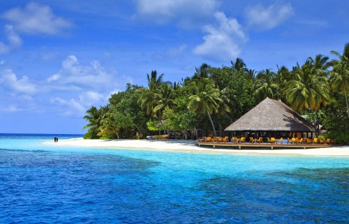 Image brown wooden house on beach during daytime