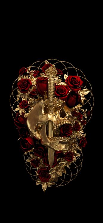 Noch Besser, Kunst, Künstler, Schädel Kunst, Illustration. Wallpaper in 1080x2340 Resolution