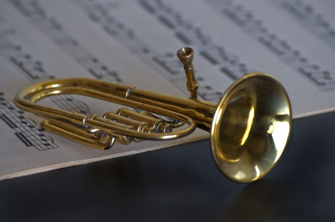 Brass Instrument, Wind Instrument, Trumpet, Mellophone, Euphonium. Wallpaper in 3601x2385 Resolution
