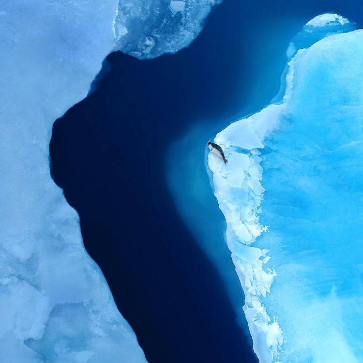 Huawei, Huawei Mate, Huawei Mate XS, Faltbares Smartphone, Smartphone. Wallpaper in 2048x2048 Resolution