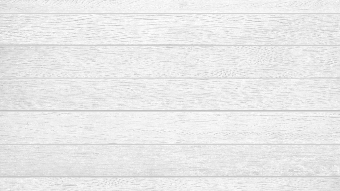 木, 白色, 黑色和白色的, 单色模式, 矩形 壁纸 2560x1440 允许