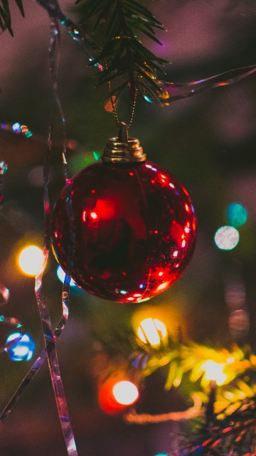 Image Christmas Day, christmas tree, christmas lights, christmas ornament, light