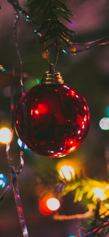 Image Christmas Day, christmas tree, christmas lights, christmas ornament, light