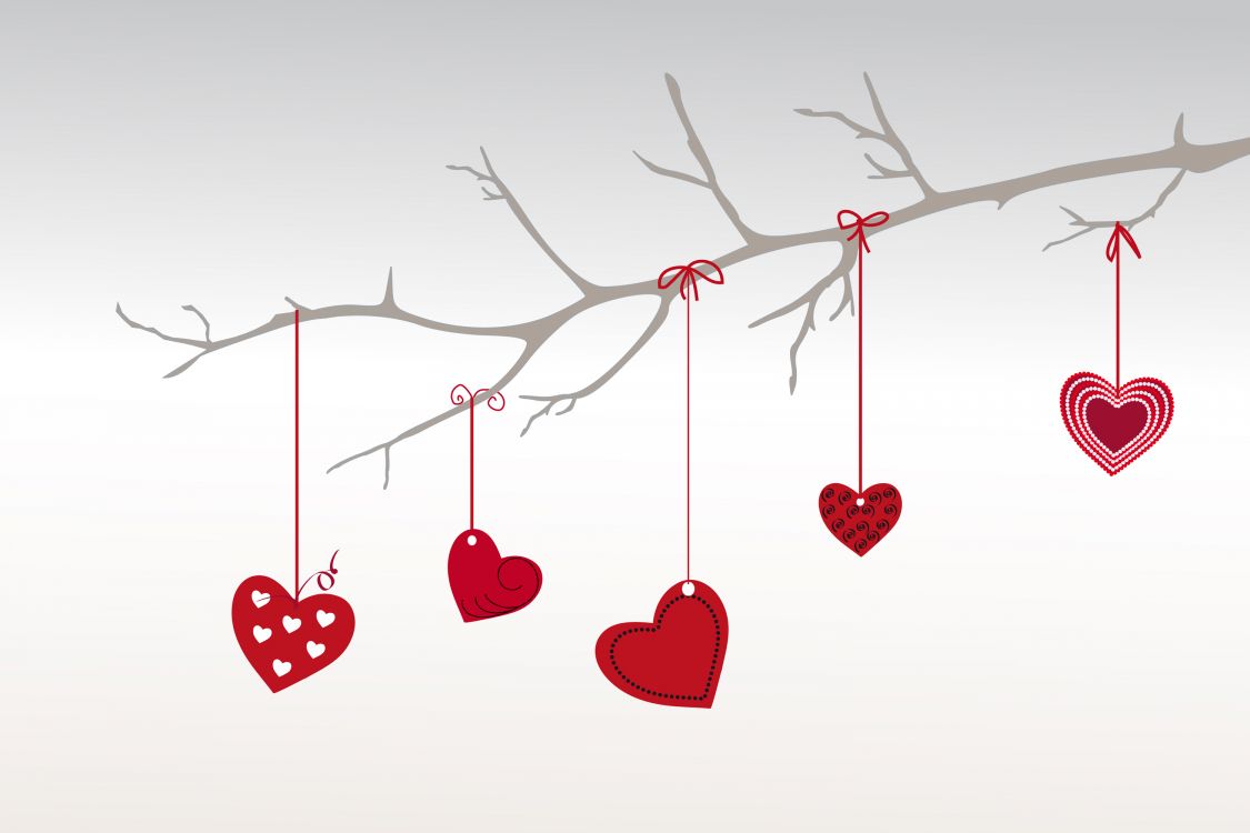 心脏, 红色的, 爱情, 树枝, 圣诞节的装饰品 壁纸 3000x2000 允许
