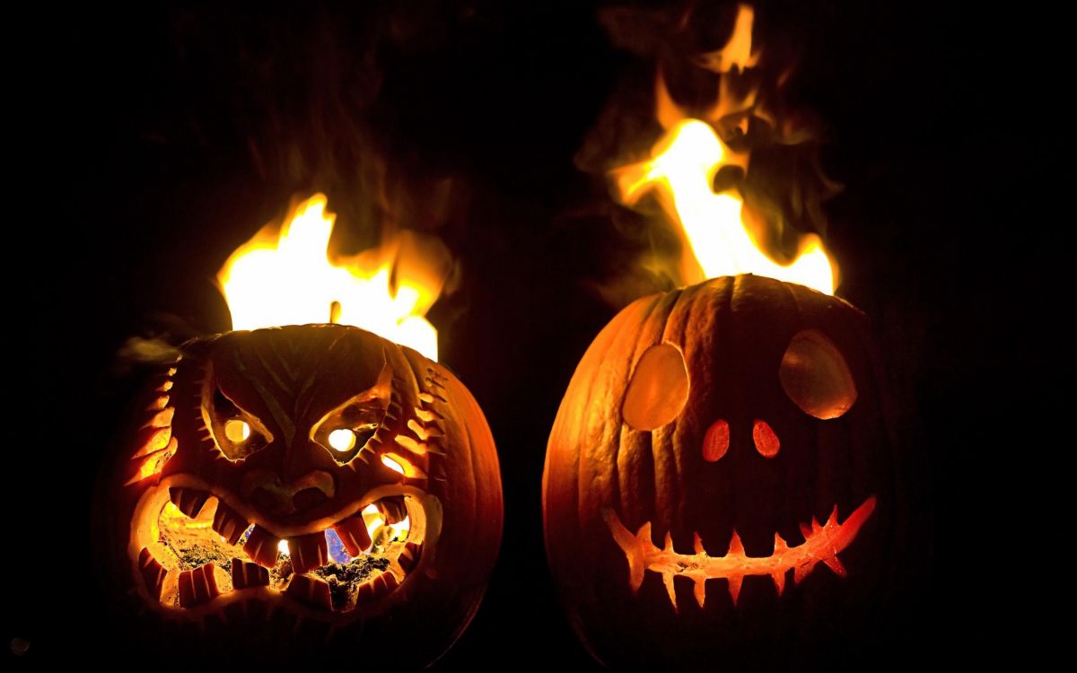 Calabaza, Chaleur, Cucurbita, Halloween, Jack o Lantern. Wallpaper in 2560x1600 Resolution