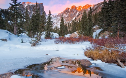 Image green pine trees covered with snow near brown mountain during daytime