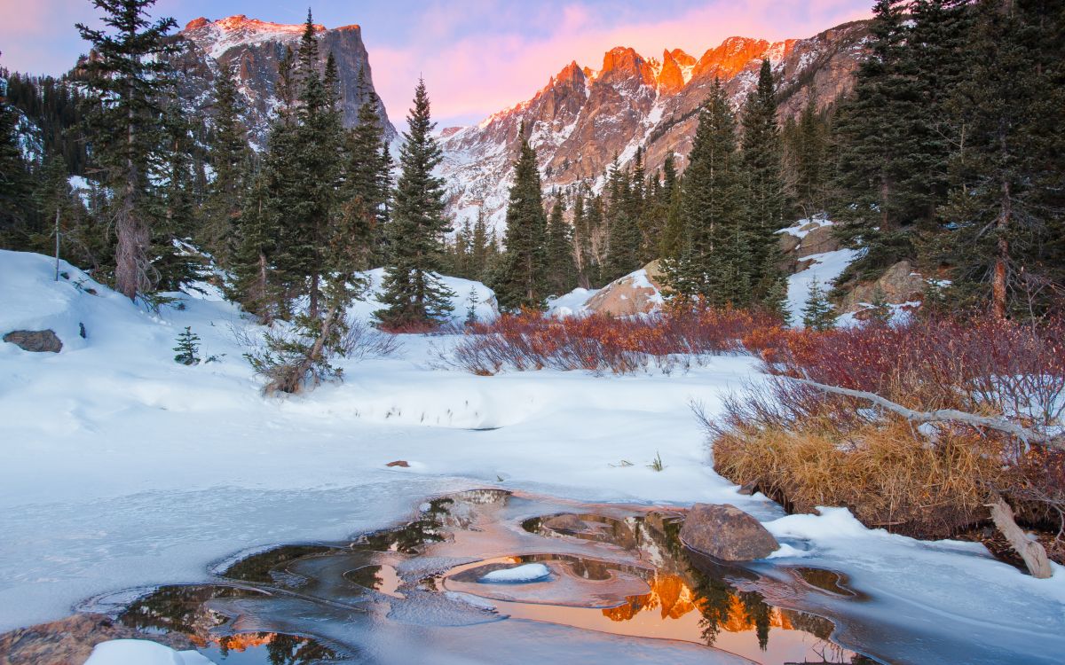 green pine trees covered with snow near brown mountain during daytime