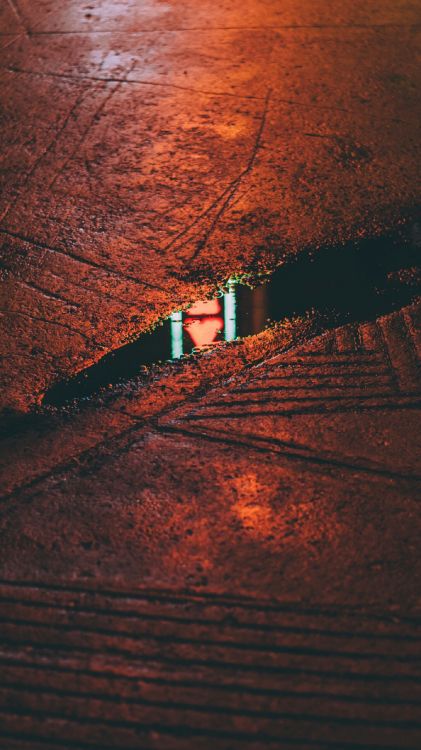 Luz, Jardín Sonido, Superdesconocido, Dennis el Tirador, Apartar. Wallpaper in 1440x2560 Resolution