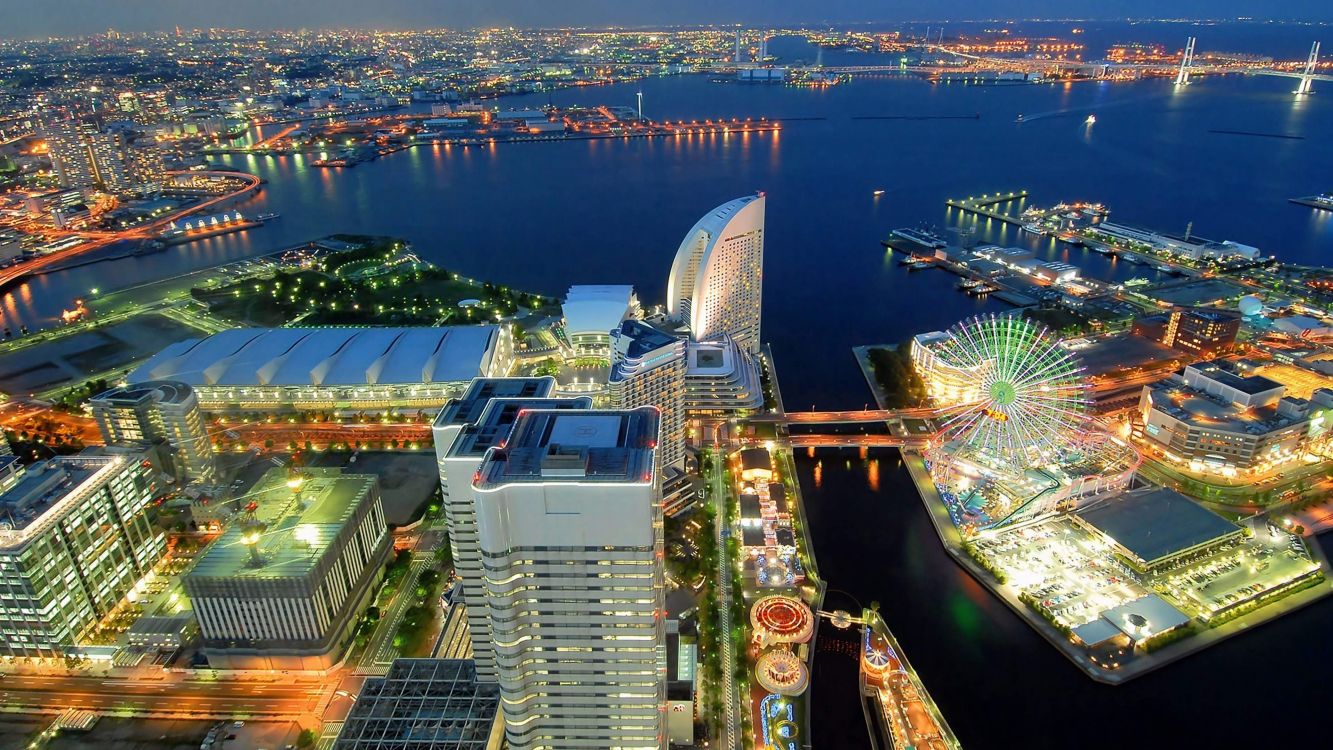 aerial view of city buildings during night time