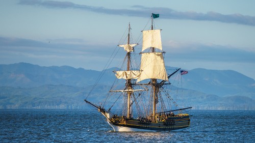 Image brown and white sail boat on sea during daytime