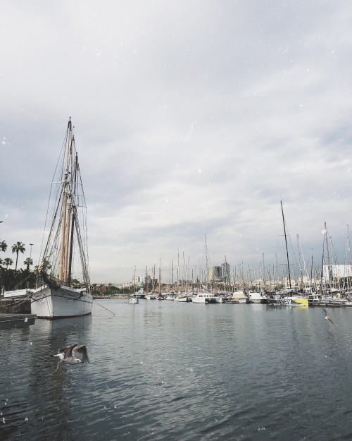 Image marina, Sail, mast, boat, sailboat