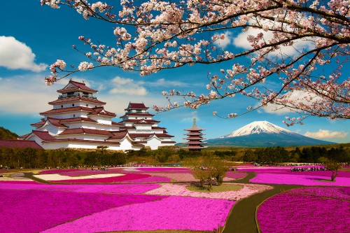 Image white and brown temple near green grass field and trees under blue sky during daytime