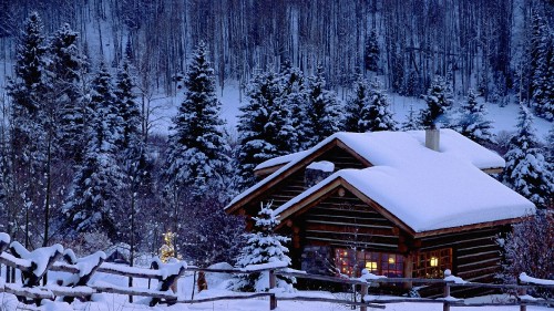 Image brown wooden house covered with snow near trees during daytime