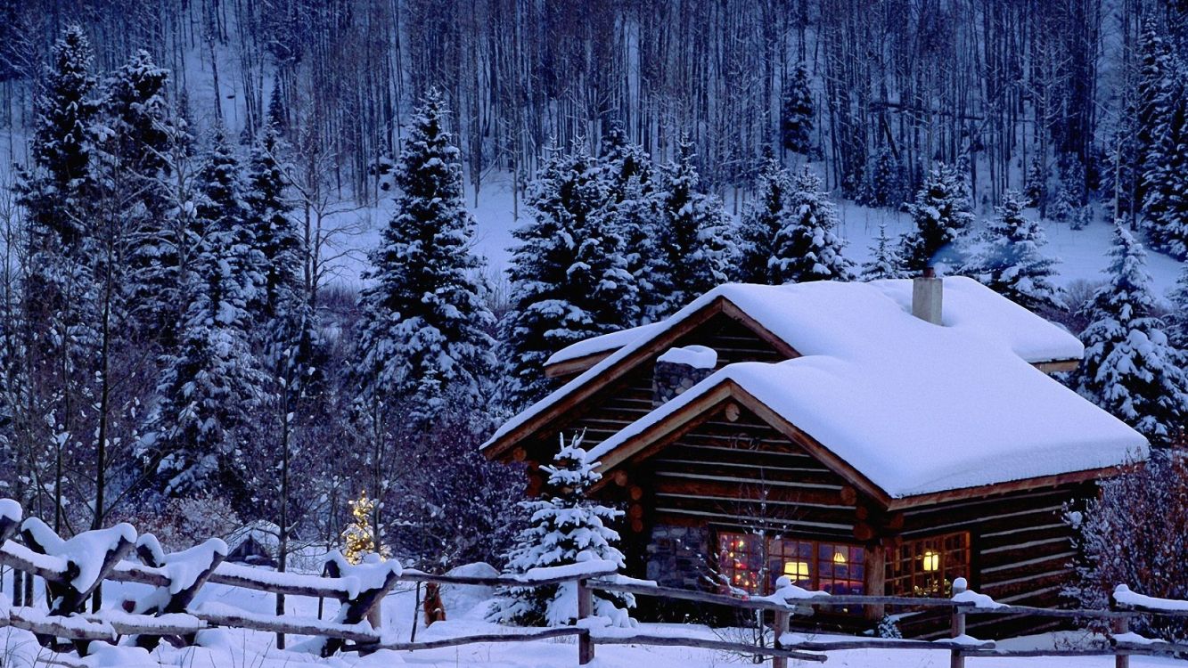 brown wooden house covered with snow near trees during daytime