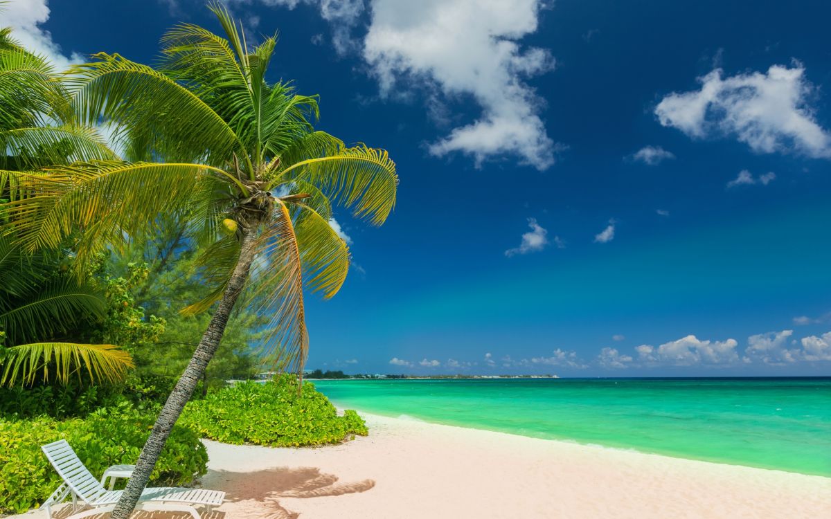热带地区, 大海, 海岸, 性质, 加勒比 壁纸 2560x1600 允许
