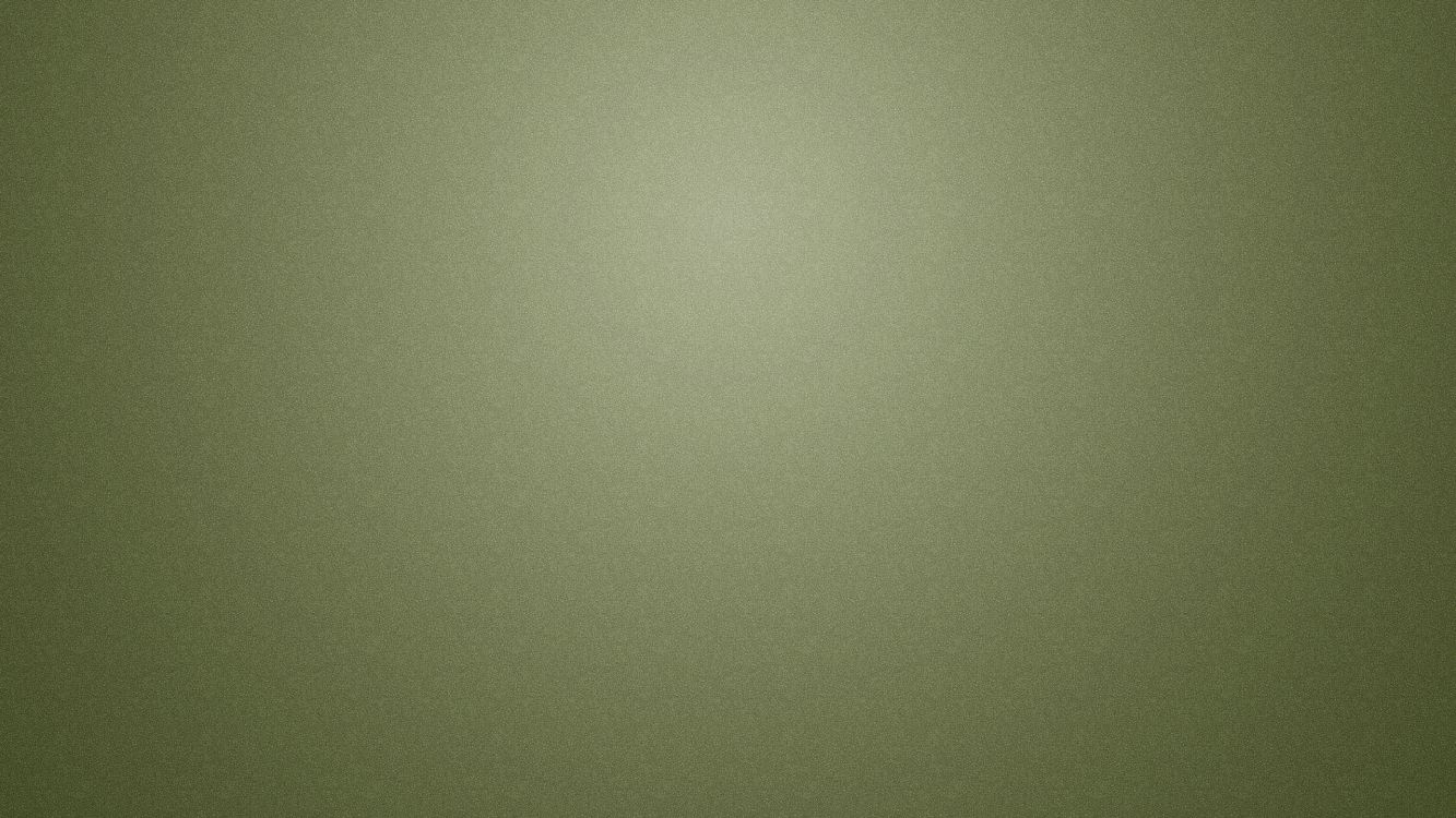 Green Wall With Light Bulb. Wallpaper in 2560x1440 Resolution