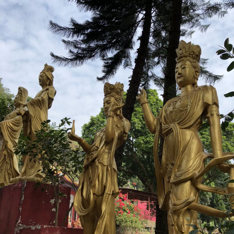 雕像, 性质, 植被, 木, 绿色的 壁纸 1772x1772 允许