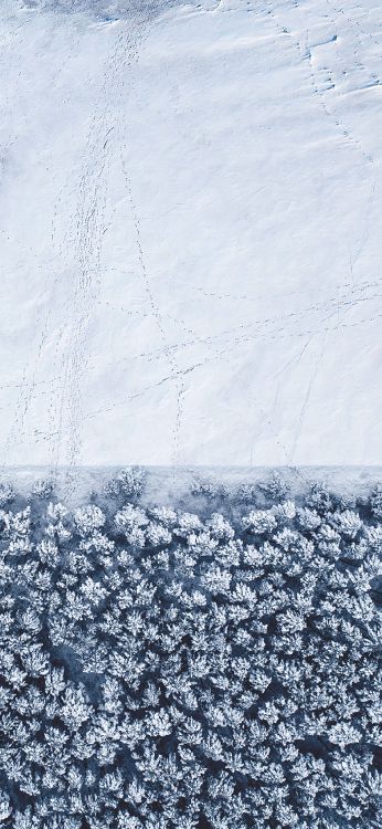 IPhone, IOS 14, IOS 14 DUAL, Apple, Congélation. Wallpaper in 1125x2436 Resolution