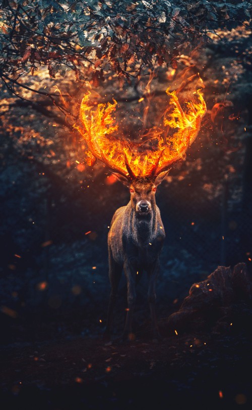 Image deer, People in nature, world, fire, heat